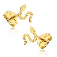 Ohrringe aus gelbem 14K Gold - glänzende Schlange, Riefen